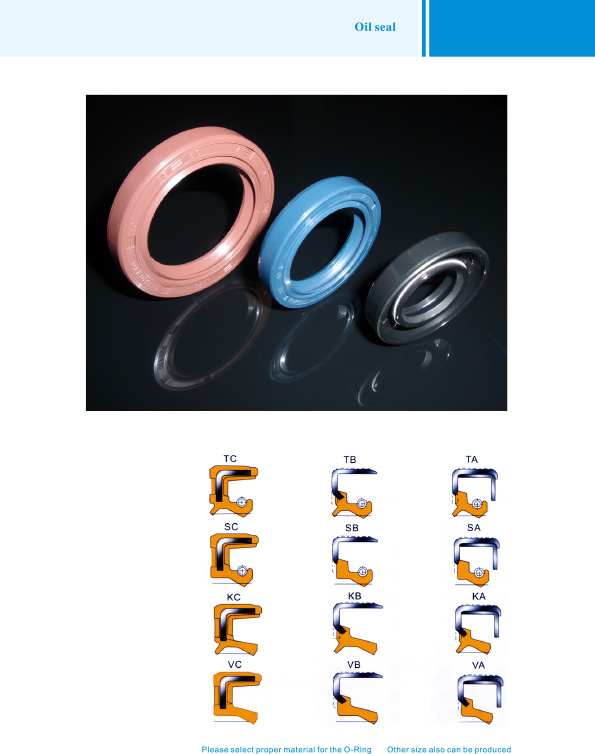 Oil Seal 1